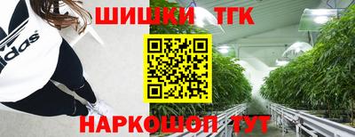 прущие грибы Краснодар