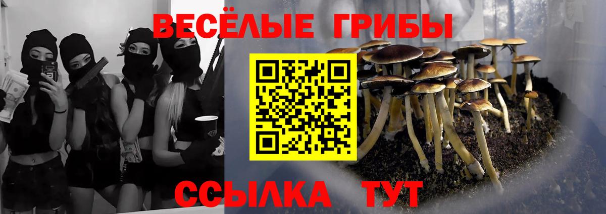 Керчь  Псилоцибиновые грибы Psilocybe  Галлюциногенные грибы Psilocybine cubensis  Вход с VPN 