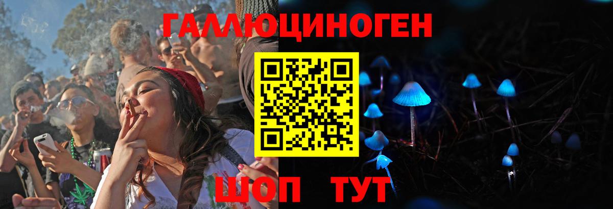 Галлюциногенные грибы Psilocybine cubensis Керчь